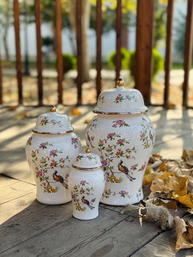 جینجرجار طرح ققنوس
